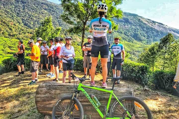 Tea Fields by Bicycle from Kandy