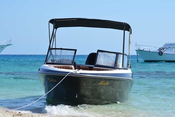 Private Speedboat Dolphin Watching & Snorkeling in Hurghada
