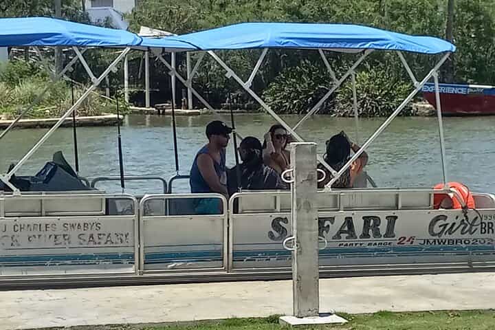 Black River Safari Guided Tour, YS Falls and Floyd Pelican Bar