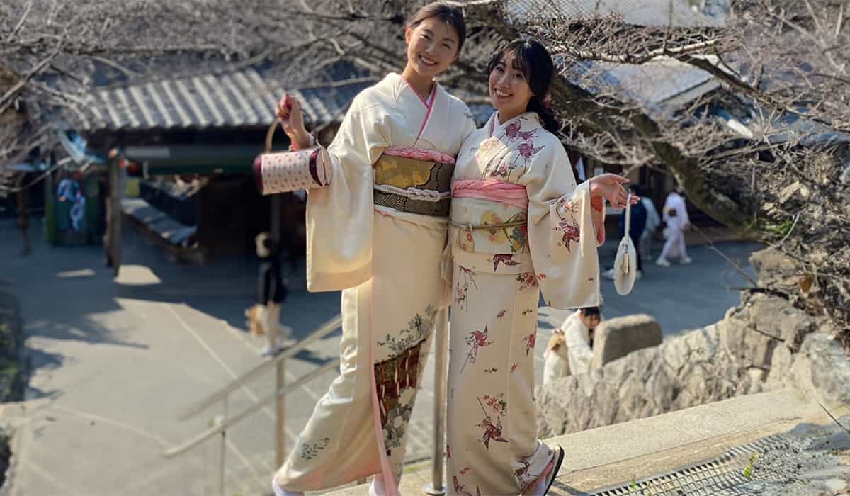 レディースプレミアムCプラン 訪問着