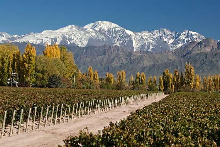 4-Day Trip to Mendoza by Air from Buenos Aires