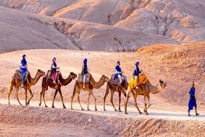 Agafay Desert Quad & Camel Rides with Dinner Show