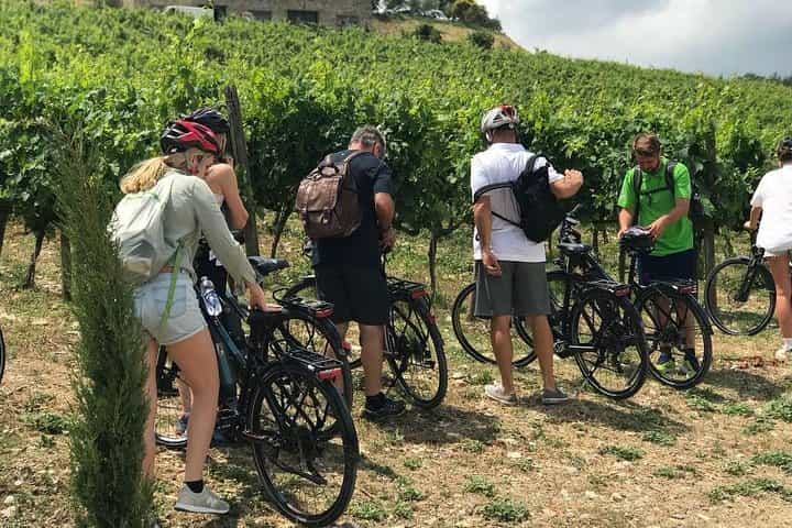 Chianti Bike Tour from Florence
