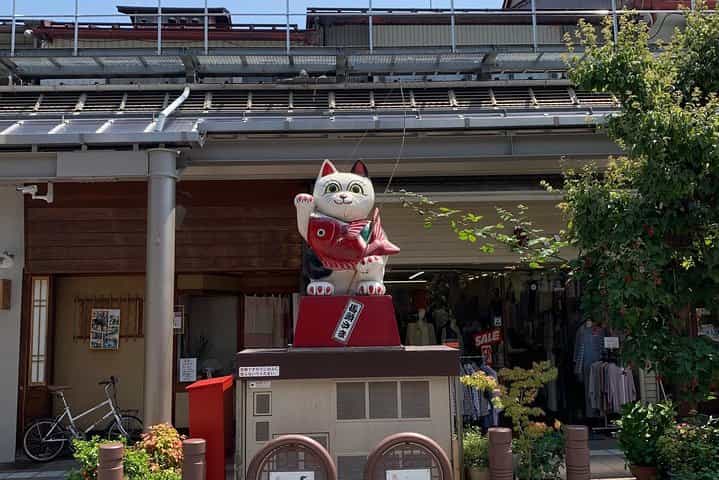 Takayama: Edo-Period Old Town Walking Tour (70 Minutes)