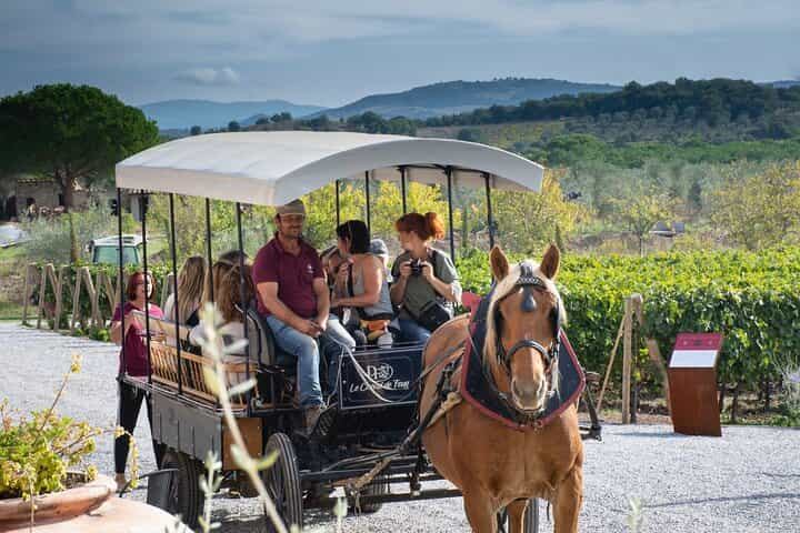 Exclusive Suvereto tour from Florence: Land of Elisa Bonaparte