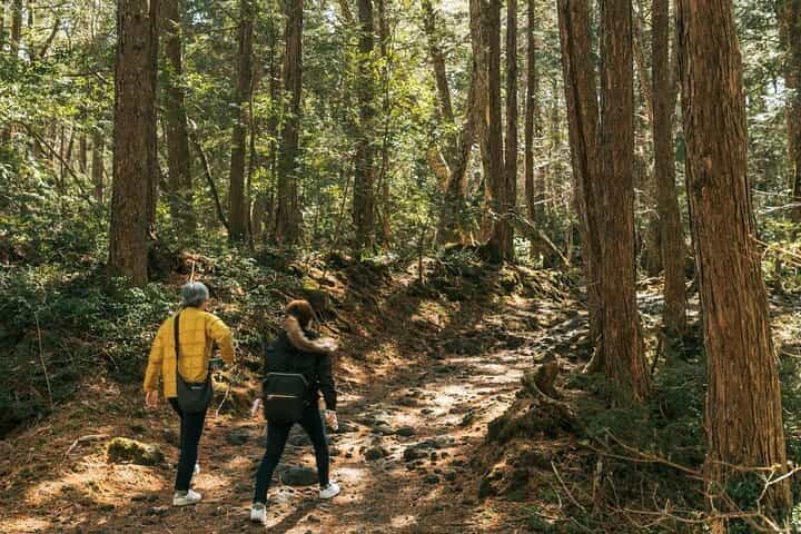 Mt. Fuji Hidden Gems & Aokigahara Forest Private Tour