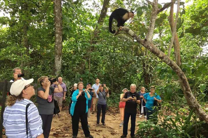Puerto Limon 6 in 1 Highlights Tour 