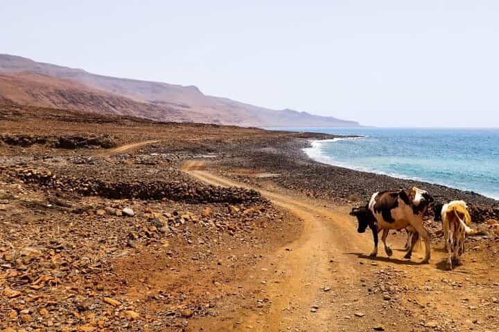 São Nicolau: Hiking Fajã - Covoada - Fajã