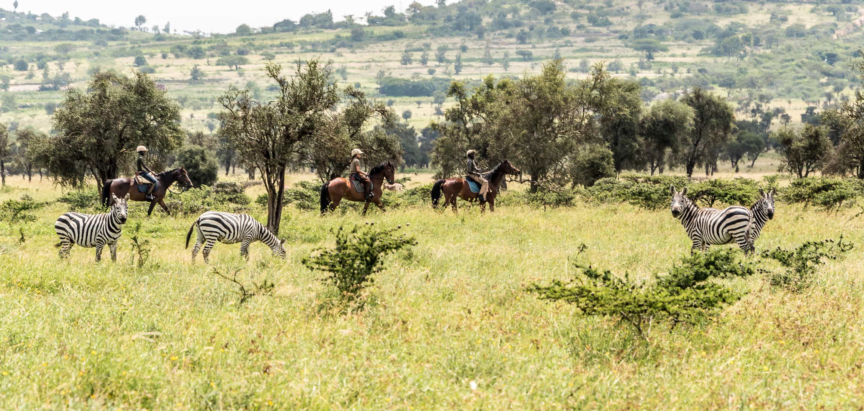 HORSE BACKRIDING SAFARI IN MAASAI MARA