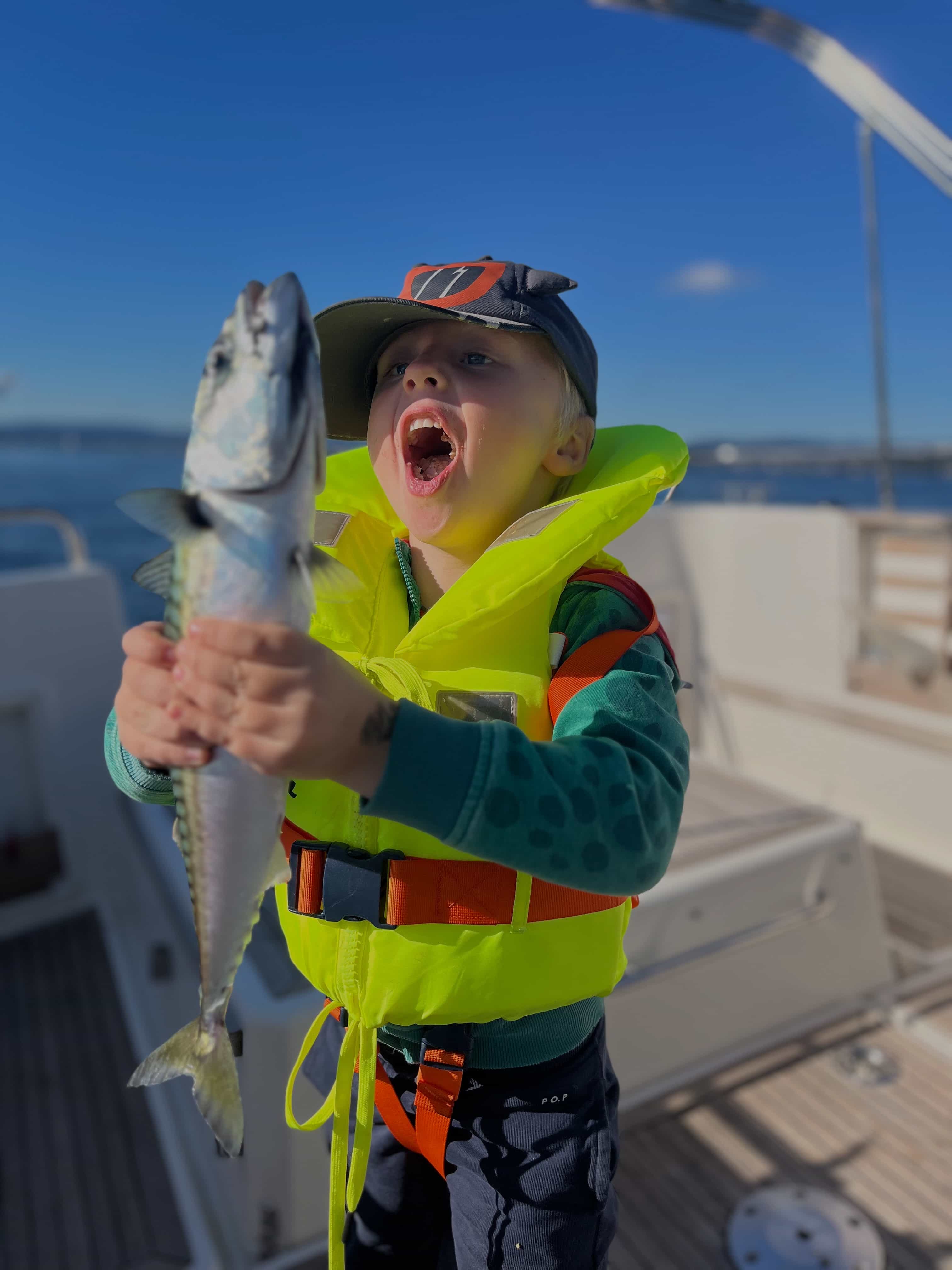 Outer Oslo Fjord Mackerel Fishing Daytrip