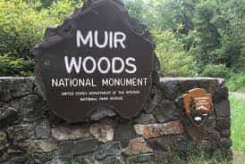 Skip The Bus: Muir Woods & Sausalito by Minivan 