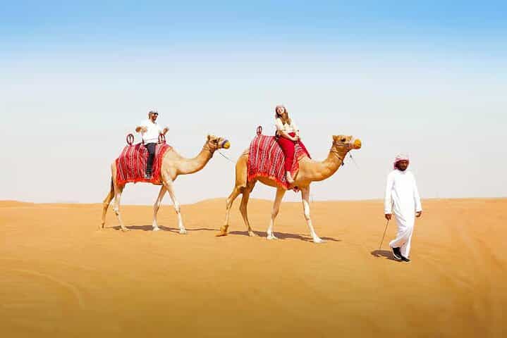 Dubai Desert Adventure Dune Safari Camel Ride BBQ & Stargazing