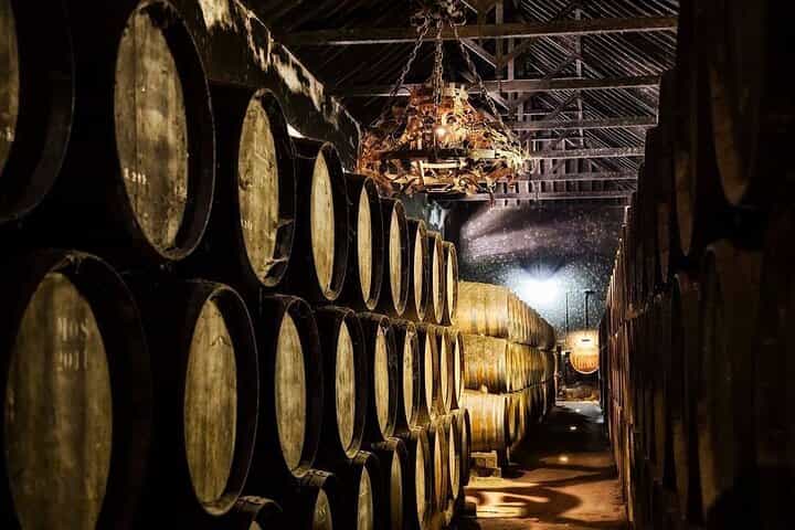 Private Azeitão Wine Tour from Lisbon – Wineries, Moscatel & Local Flavors