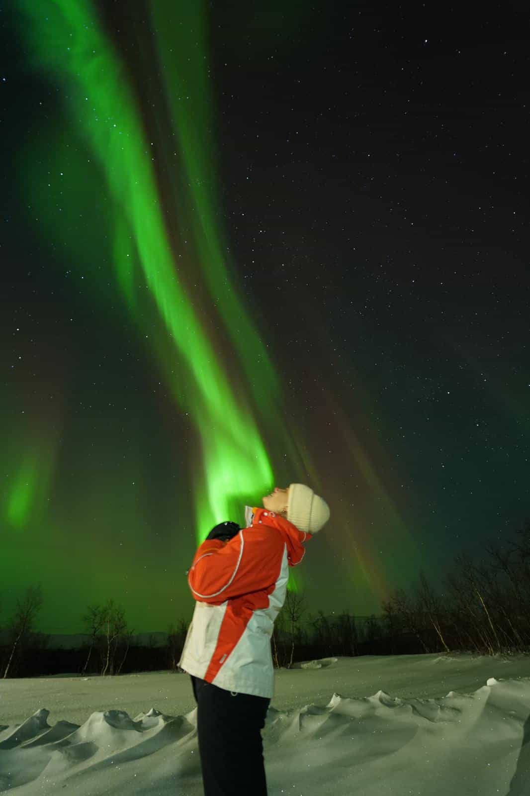 Northern Light minibus hunt to Abisko national park 7:30 pm