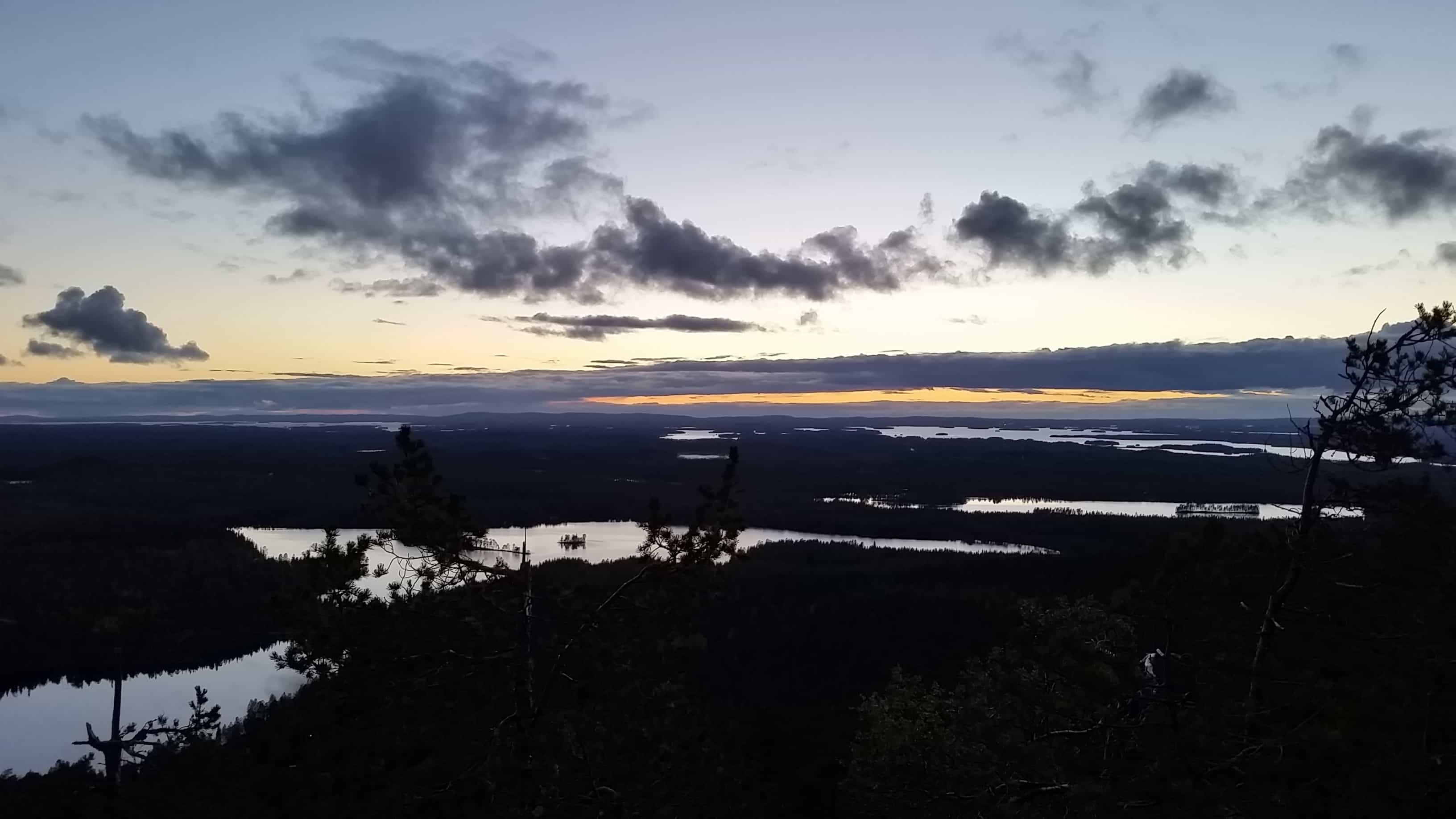 Forest yoga and nature walk