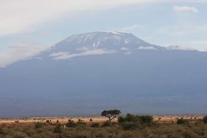 3-Day Amboseli National Park - Group Joining Safari