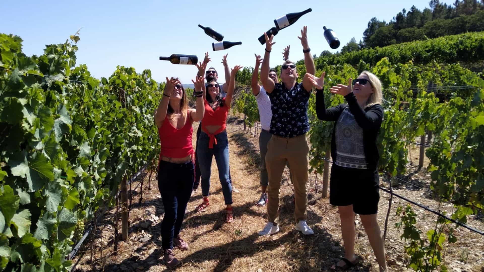 Douro Valley Small Group Tour with Wine Tastings, Lunch and River Cruise 