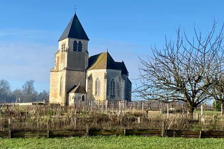 Private Burgundy 3 Domaines Chateau Pommard Chablis 15 Wines Trip
