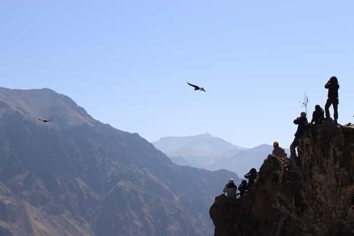 2-Day Flight of Condor on Colca Canyon from Arequipa