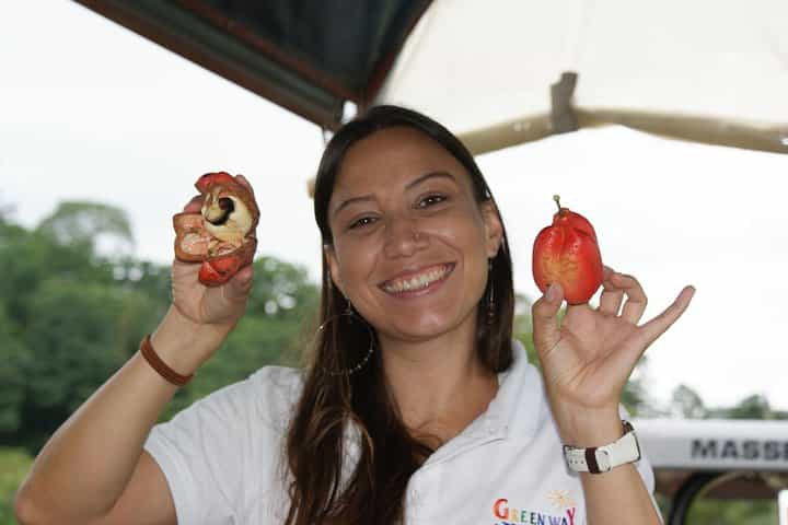 Puerto Limon Highlights. 6 in 1 combo Tour. Shore Excursion
