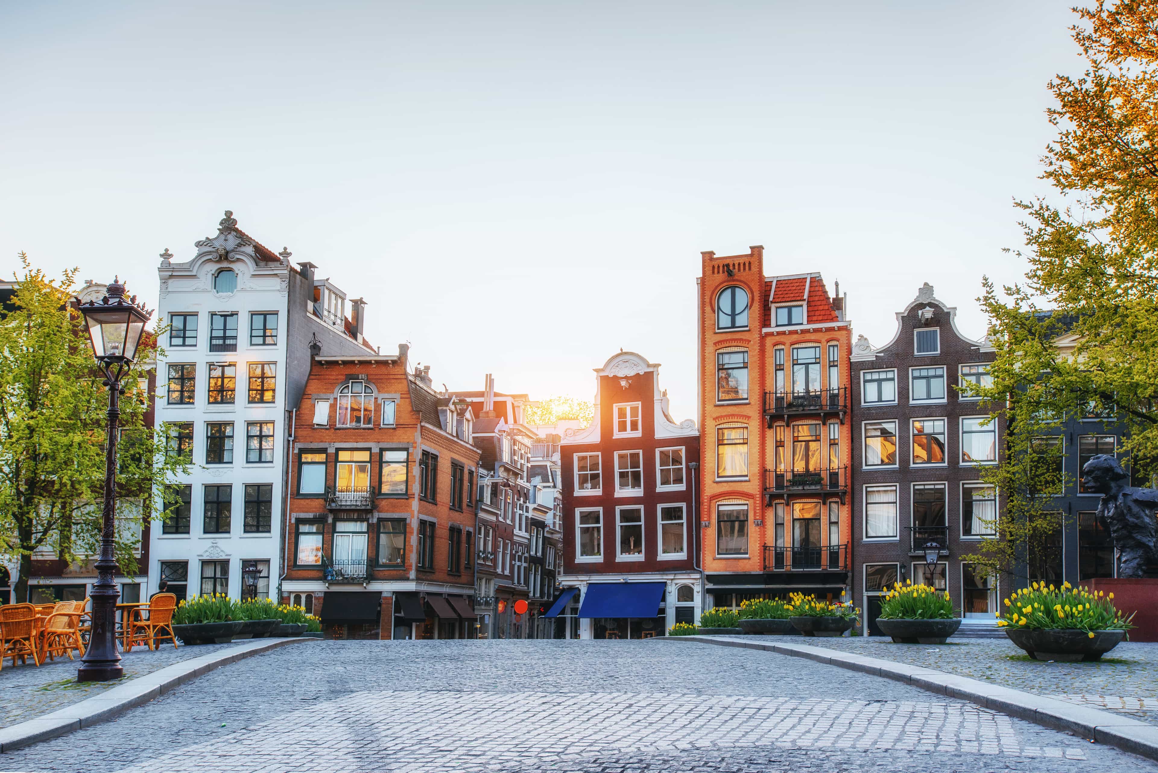 Amsterdam: Dam Square & Flower Market Walking Tour