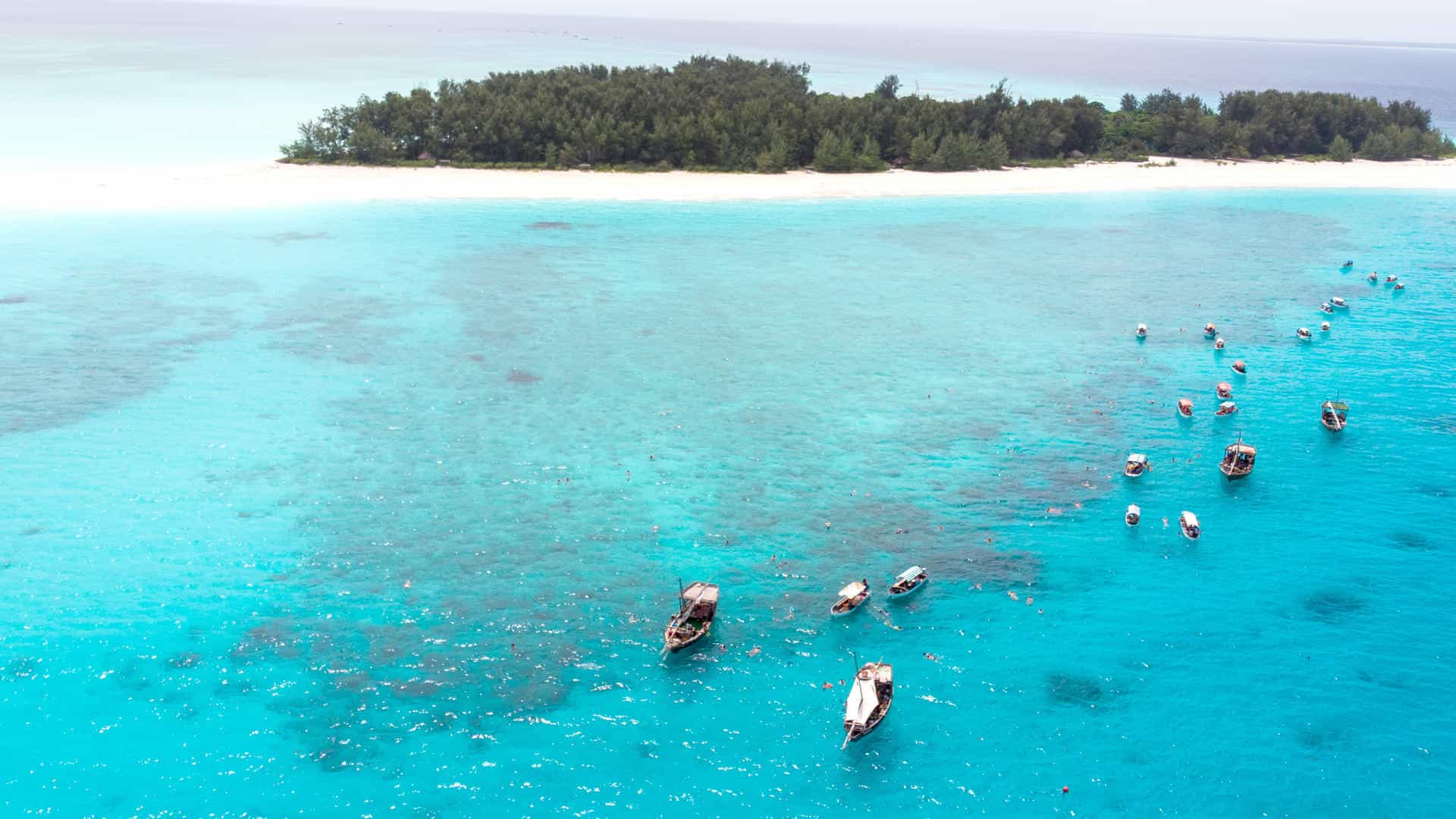 Mnemba Island Snorkeling  Tour