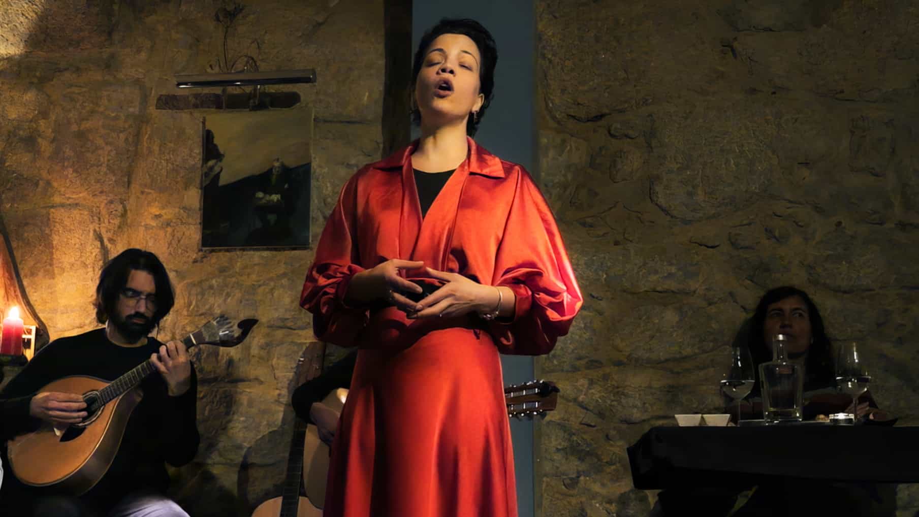 Fado Dinner Show and Night Tour