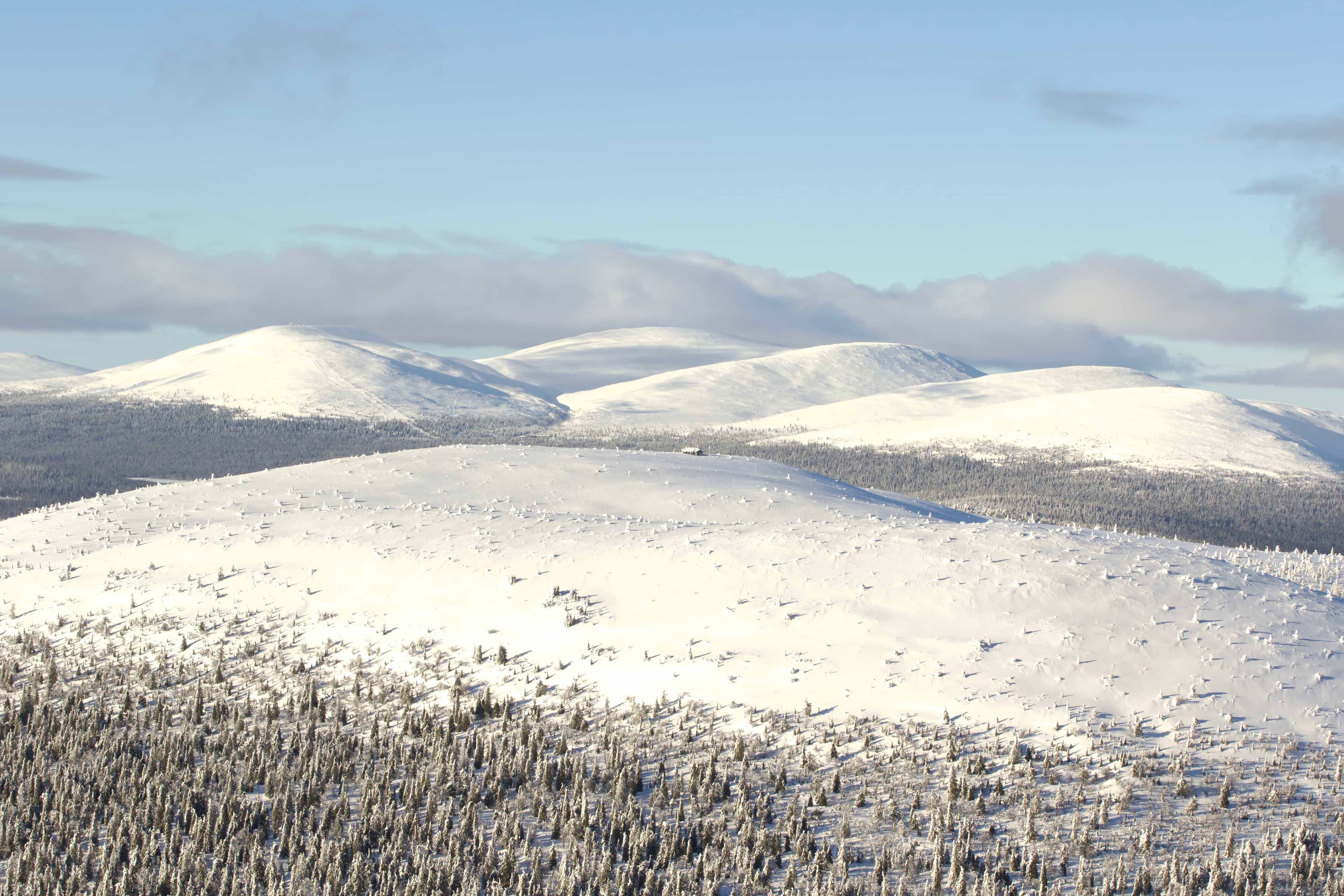 Private Ski Adventure in Pallas National Park