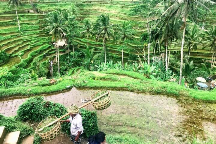 Private Tours to The Heart Of Bali Island