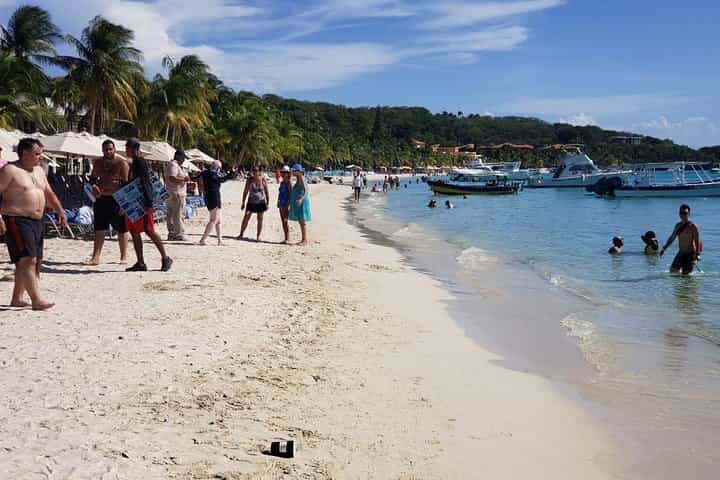 MONKEY & SLOTH + WEST BAY BEACH BREAK AND SNORKELING