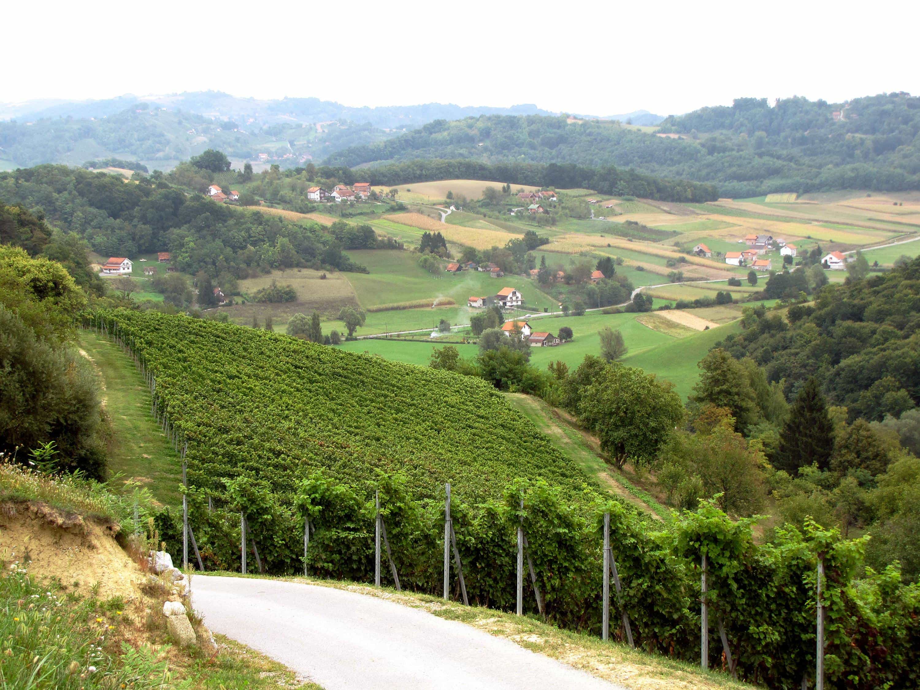 Private Hrvatsko Zagorje Tour - from Zagreb