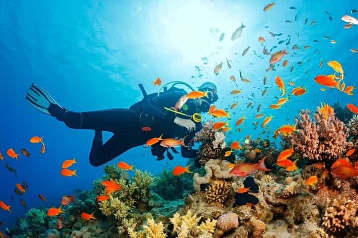 Hurghada Diving and Snorkelling Day Trip By VIP Boat