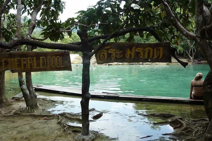 Thailand’s Last Lowland Rainforest – A Hidden Gem Tour