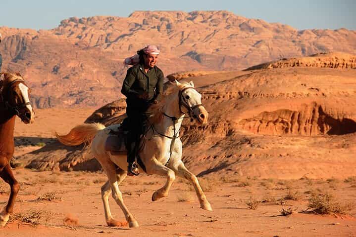Arabian Horseback Desert and Sea