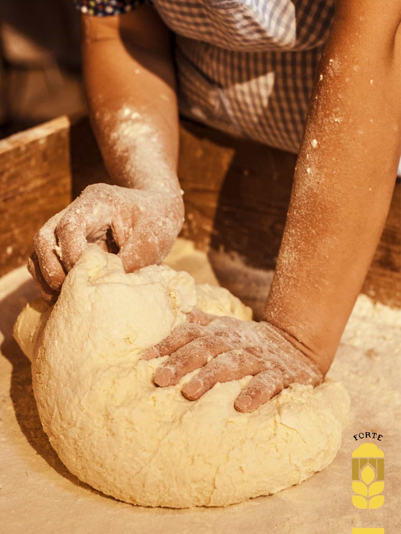 Museo del Pane di Altamura: visita privata, mani in pasta e degustazione
