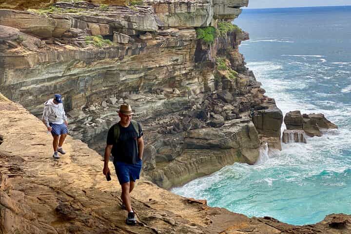 Sydney: Royal National Park Coast & Rainforest, Koalas & Lunch