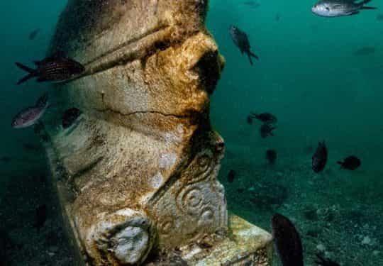 Snorkeling in the Park of Baia