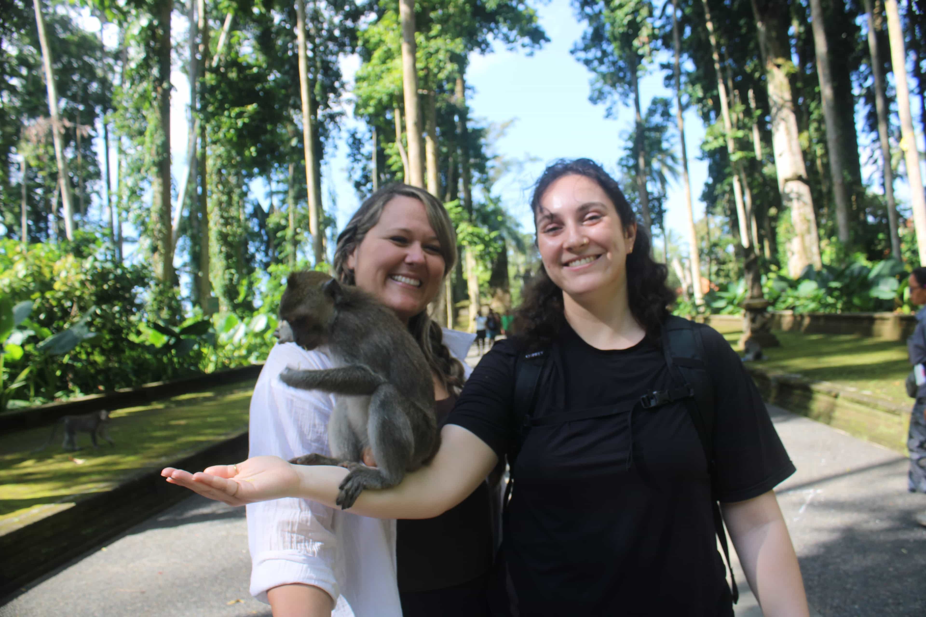 Private Ubud Tour with Waterfall , Temple and Monkey Forest