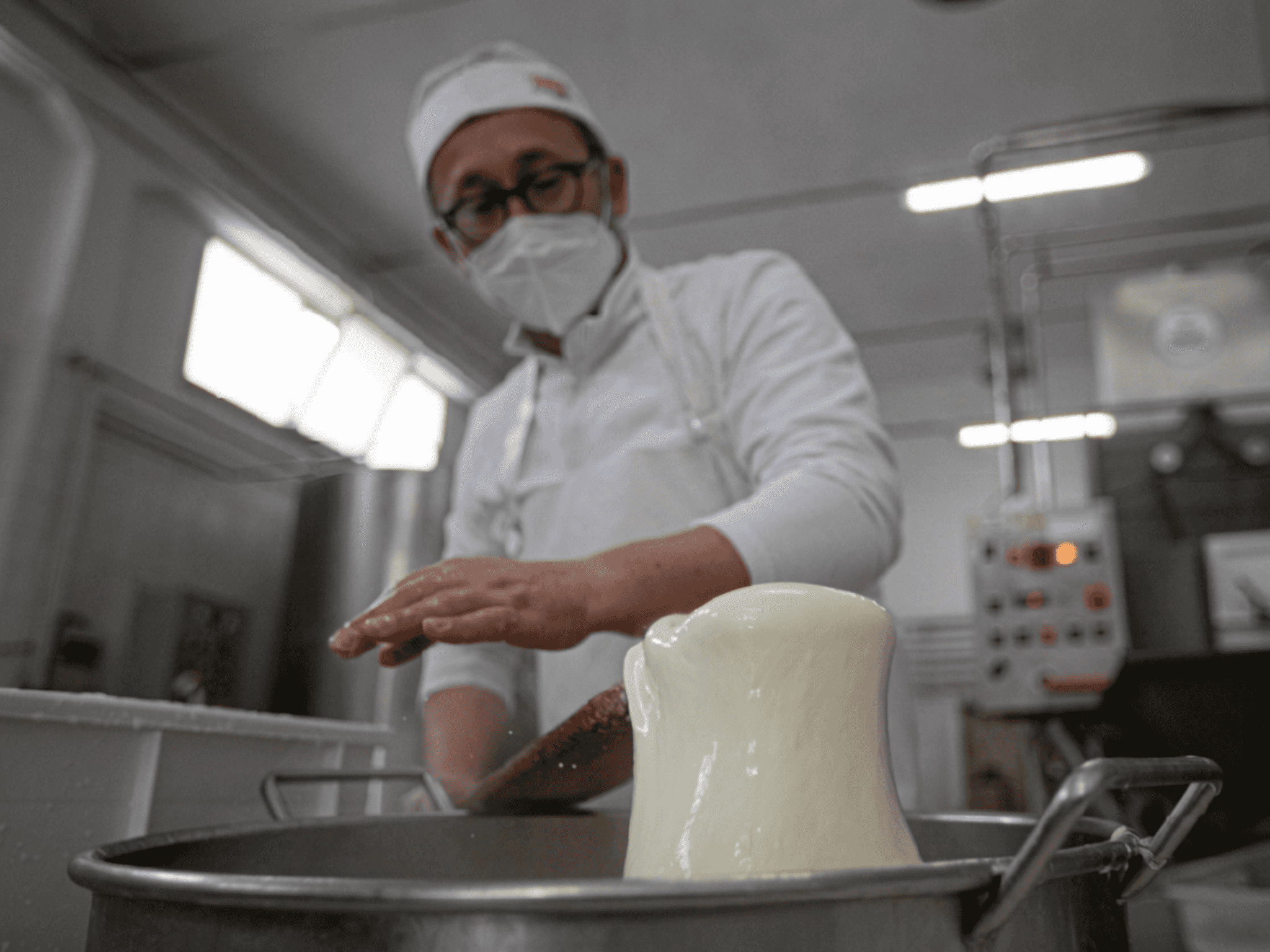 Mozzarella Making Show with Tasting in Bari