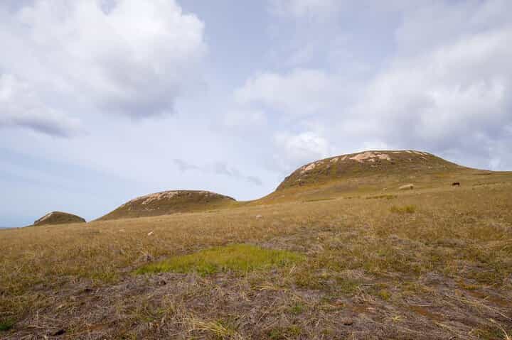 Full day Private Tour: Poike Walk through the abandoned area