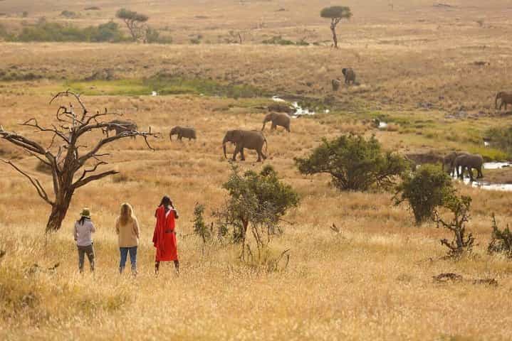 15-Day Bush & Beach Safari in Kenya