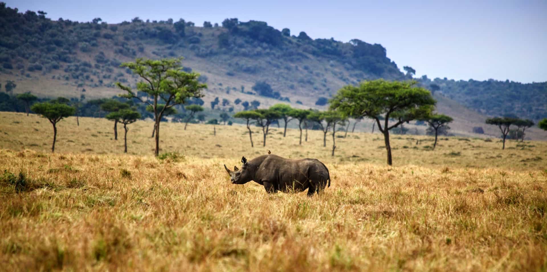 9 Days - The Best of Tanzania & Lake Natron Midrange Safari