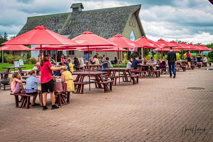 Private Customizable Niagara Wine, Beer, and Spirits Day Tour