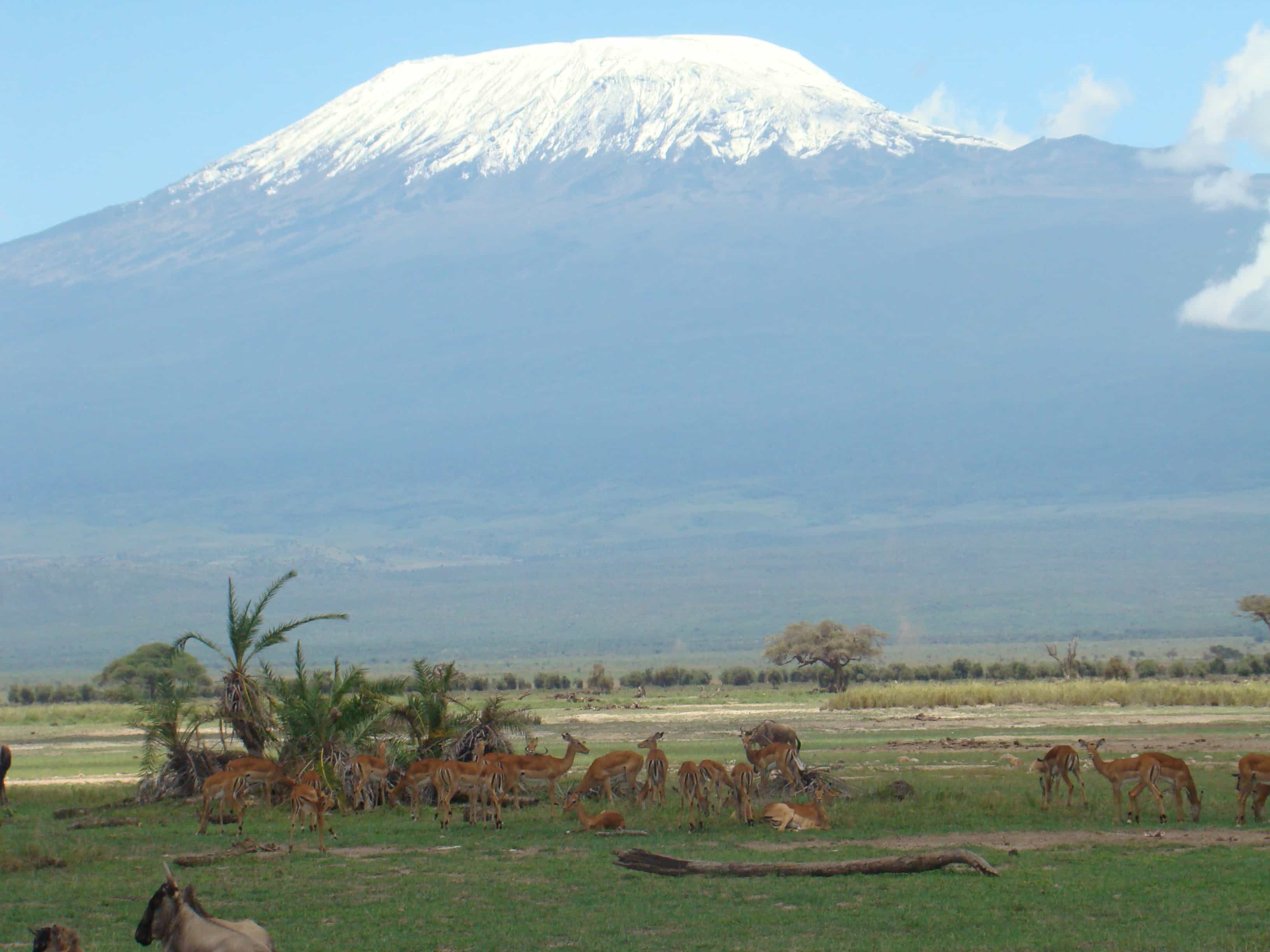 3-Day Elephant Wildlife Safari Experience in Kenya