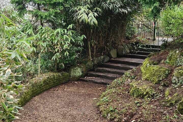 A Unique Belfast Walking Experience