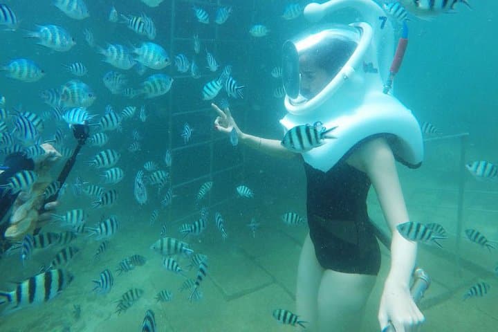 2-Day Hoi An and Cham Island Private Guided Tour with Sea Trek