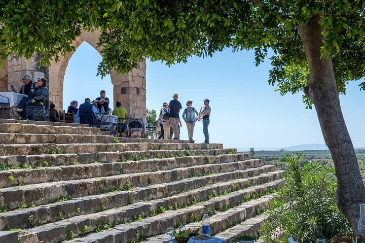 Jerash, Ajloun & Umm Qais Private tour