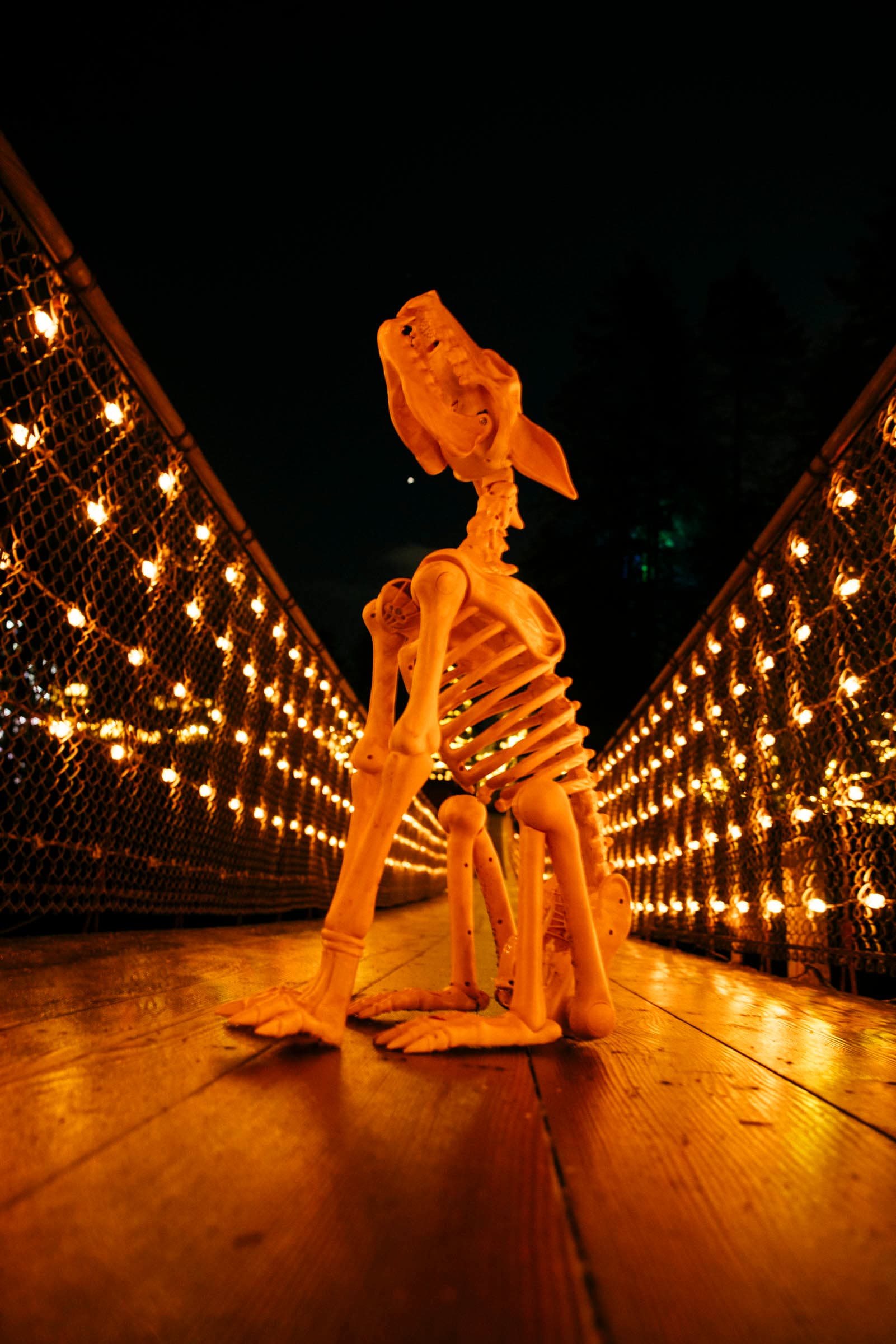 Suspended in Fear at Capilano Bridge: A 7-Stop Halloween Tour