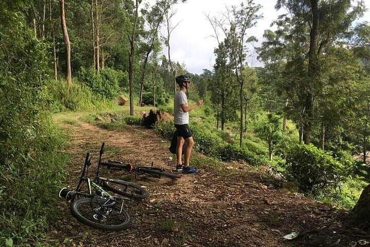 ⁠Mountain biking around Tea Trails in Kandy