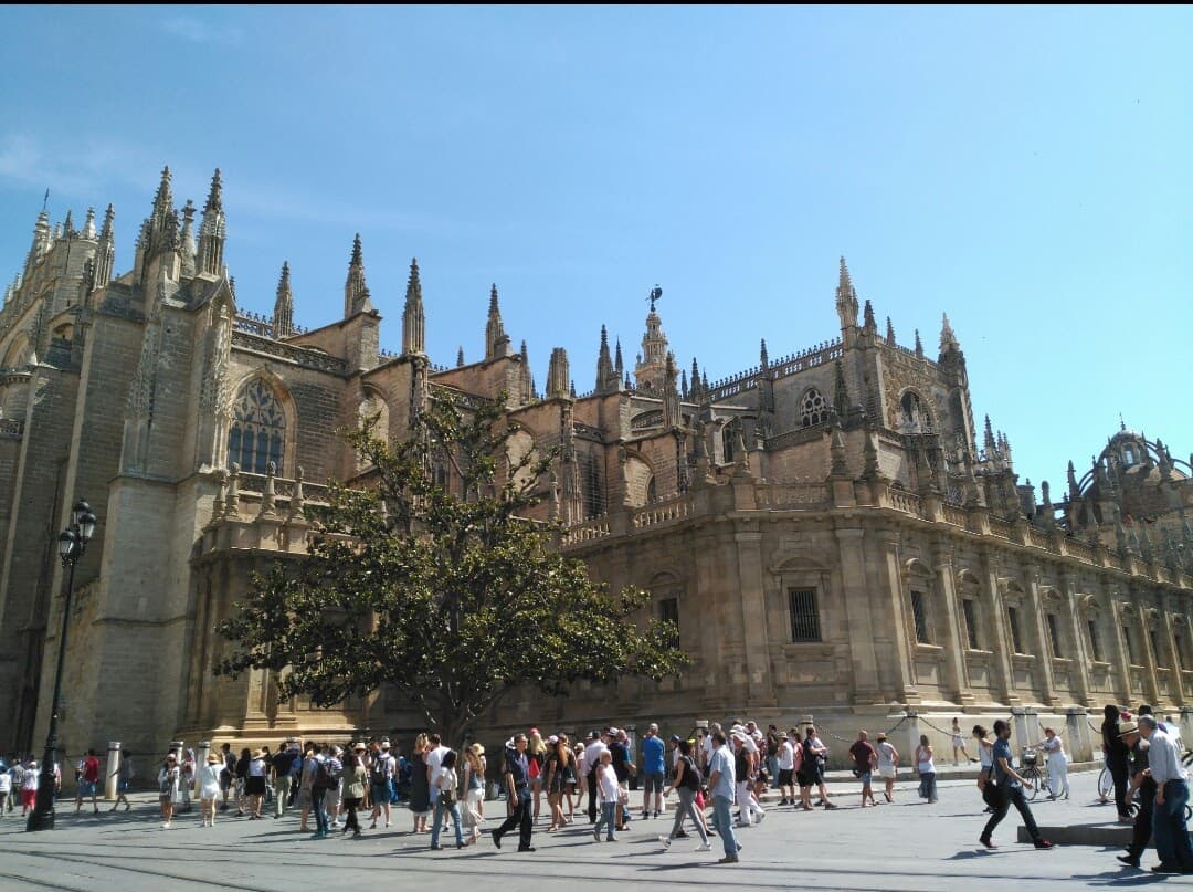 Full Southern Spain Adventure. 14-Day Trip Package discovering everything Andalucia has to offer.